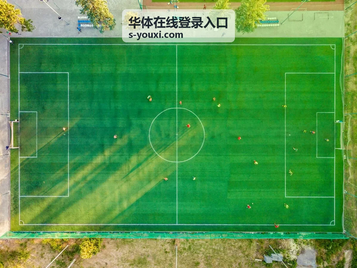 华体在线登录入口网页端登录页面