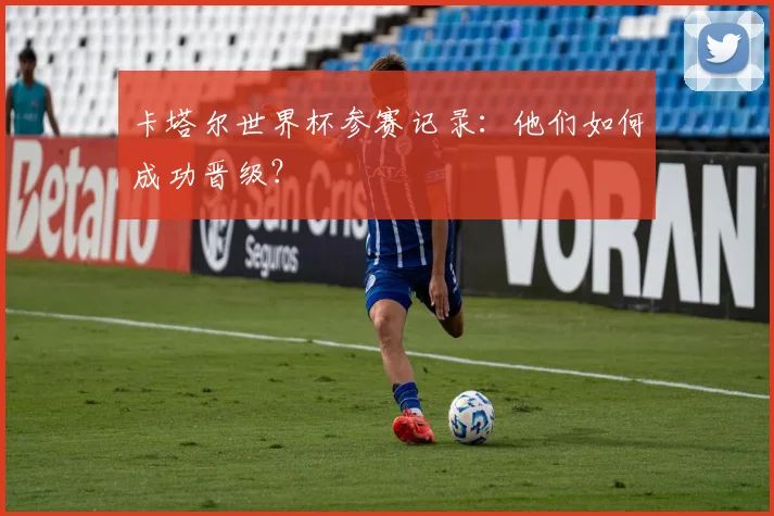 卡塔尔世界杯参赛记录：他们如何成功晋级？