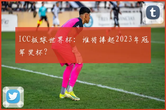 ICC板球世界杯：谁将捧起2023年冠军奖杯？