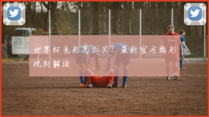世界杯竞彩怎么买?最新官方购彩规则解读