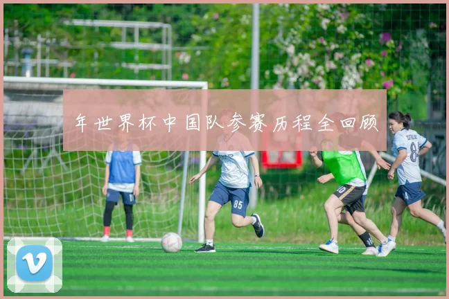 年世界杯中国队参赛历程全回顾