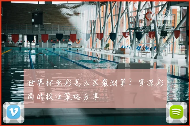 世界杯竞彩怎么买最划算?资深彩民的投注策略分享