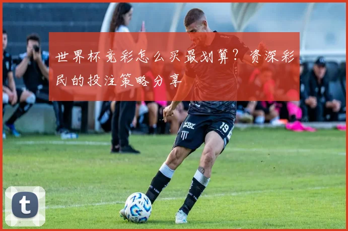 世界杯竞彩怎么买最划算？资深彩民的投注策略分享
