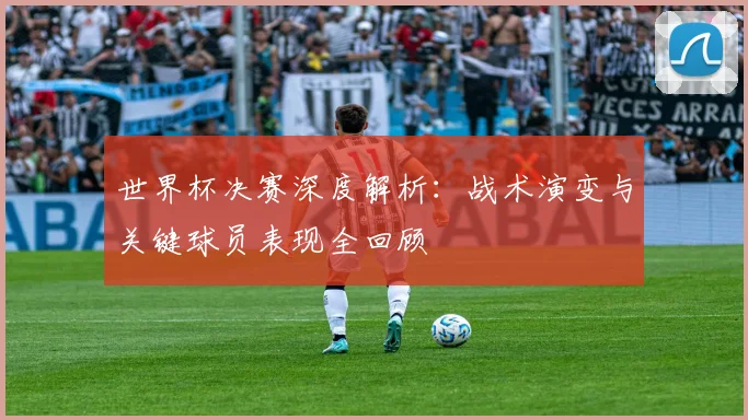 世界杯决赛深度解析:战术演变与关键球员表现全回顾