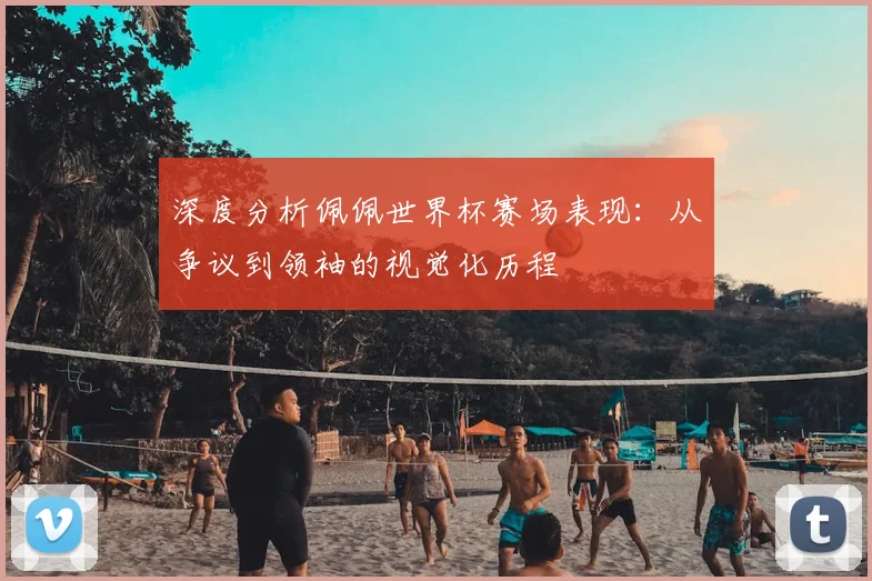 深度分析佩佩世界杯赛场表现：从争议到领袖的视觉化历程