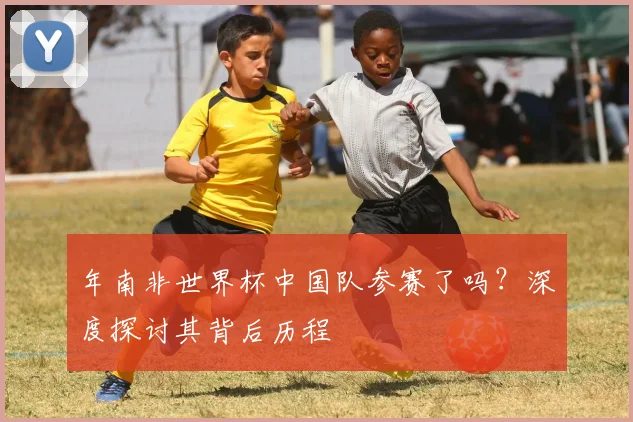 年南非世界杯中国队参赛了吗？深度探讨其背后历程