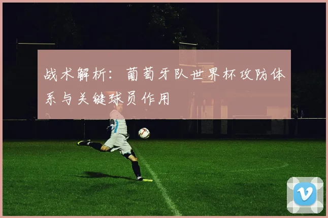 战术解析：葡萄牙队世界杯攻防体系与关键球员作用