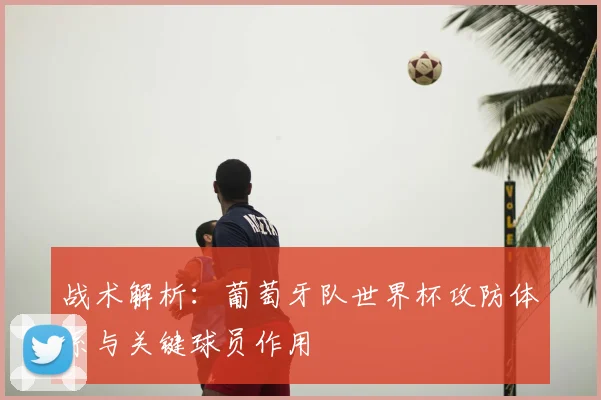 战术解析：葡萄牙队世界杯攻防体系与关键球员作用