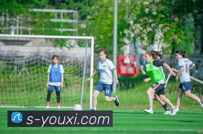 乐竞官网平台生态图